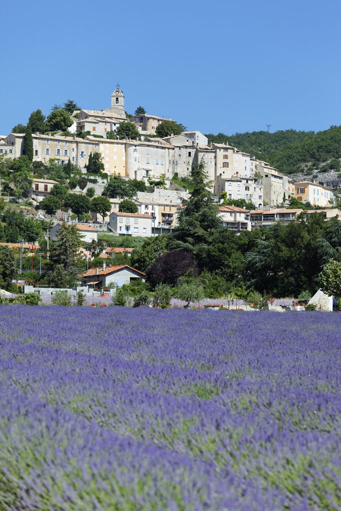 Champs de lavande et village provençal, symbole de l’ambiance naturelle et lumineuse d’un mariage en Provence.